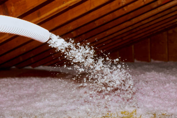 Best Commercial Insulation in Bull Shoals, AR